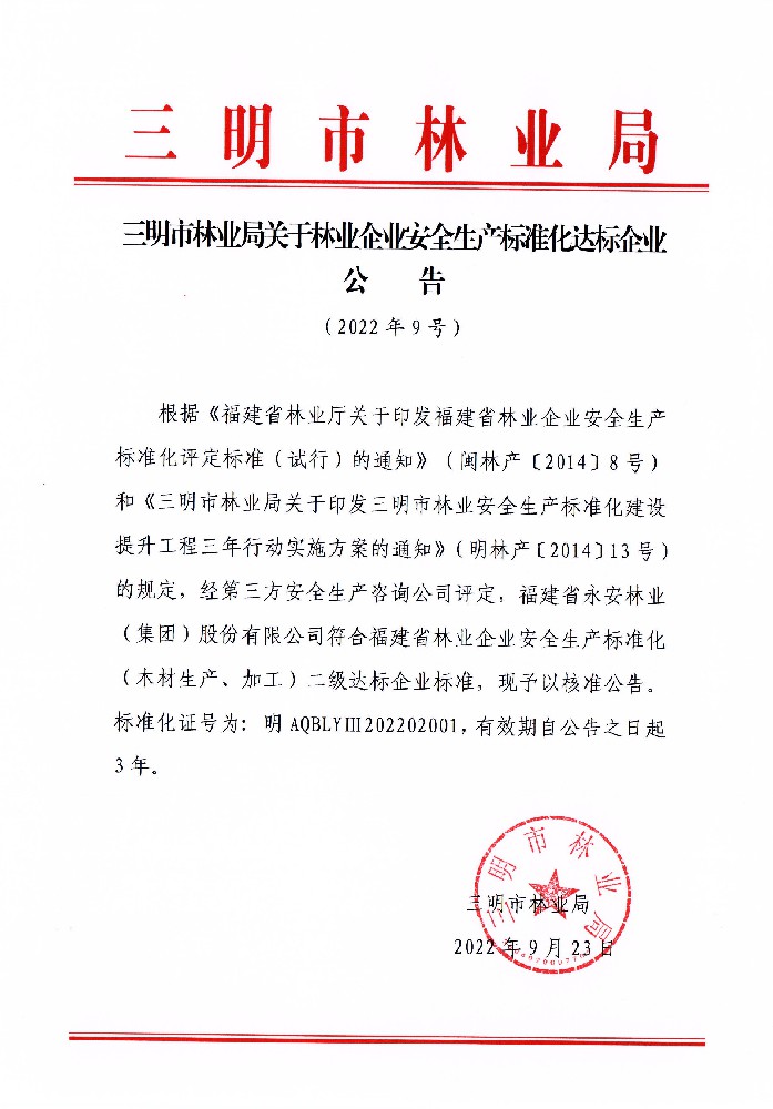 安全生产标准化二级达标企业